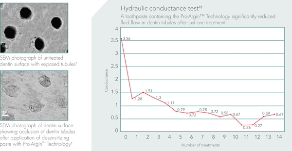 Hydraulic Conductance Test